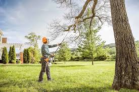 Leaf Removal in Wadsworth, OH